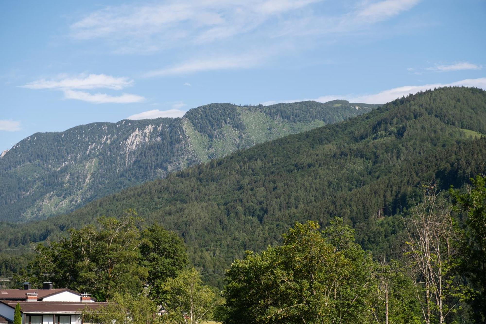 Suite Apartment Modern Getaway - Neu Renoviert - Strobl Am Wolfgangsee Esterno foto